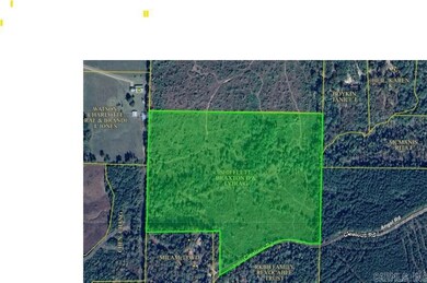 300 Block Angel St, Amity, AR 71921 - photo 4