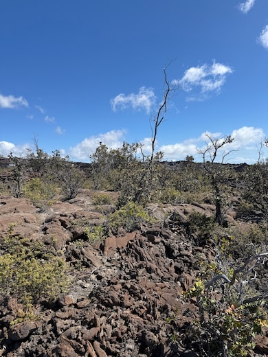 No neighbors any where to be seen.