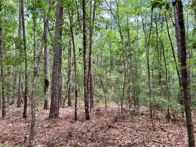 0 State Highway 59 unit 7437053, Stockton, AL 36579 - photo 6