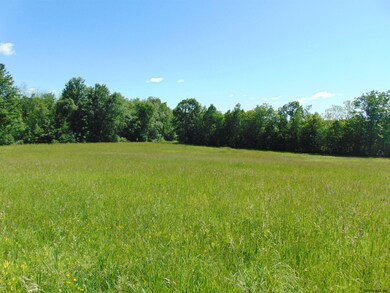 0 Goldfoot Rd unit 202020016, Glenville Tov, NY 12302 - photo 3