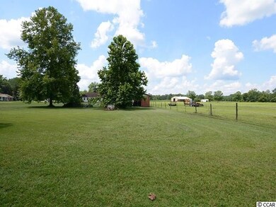 3655 Highway 19, Conway, SC 29526 - photo 6