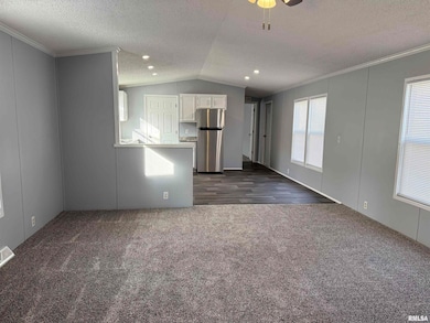 193 Oak Valley Dr, Carbondale, IL 62901 - photo 4