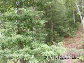 85 Baton Ln unit 17, Hendersonville, NC 28792 - photo 2