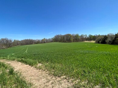172 Acres Spears Rd, Scottsville, KY 42164 - photo 5
