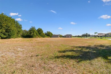 420 Hawk Talon Dr, Lithia, FL 33547 - photo 6