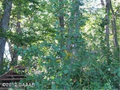 2825 Doe Run Ln SW, Farwell, MN 56327 - photo 5