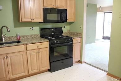 40849 Newport Dr unit 215, Plymouth, MI 48170 - photo 6