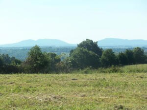 485 Wolf Springs Rd, Harrison, AR 72601 - photo 2