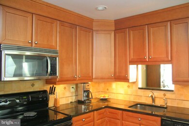 2253 Chestnut Burr Ct, Reston, VA 20191 - photo 2