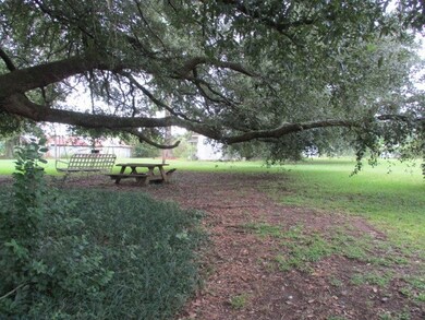 6006 Poplar Rd, Albany, GA 31705 - photo 3