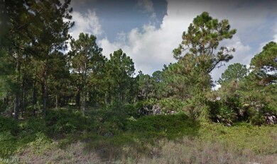 1046 Danforth St, Lehigh Acres, FL 33974 - photo 2