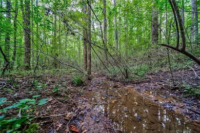 View of local wilderness featuring a wooded view