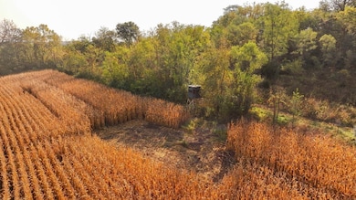 0000 61 St, Melcher-Dallas, IA 50062 - photo 6