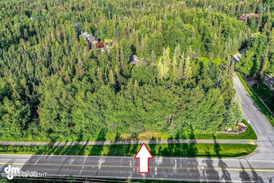 L1 Downey Finch Dr, Anchorage, AK 99516 - photo 4