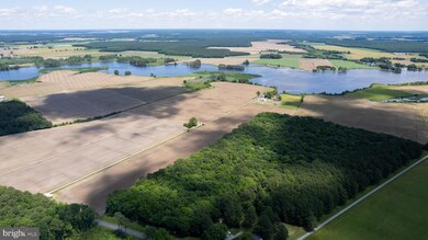 4425 Egypt Rd, Cambridge, MD 21613 - photo 4