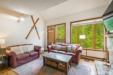 10500 Mt Baker Hwy unit 1006, Deming, WA 98244 - photo 6