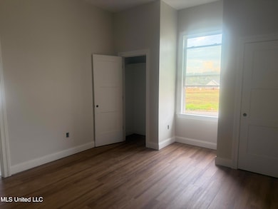 2520 E Beauvoir Place, Hernando, MS 38632 - photo 6