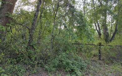 NE corner