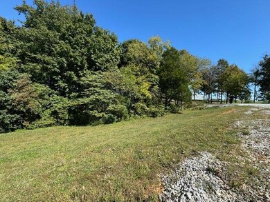 Tract 3 Carroll Knicely Dr, Glasgow, KY 42141 - photo 5