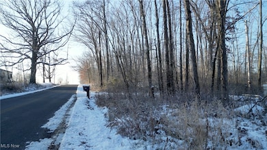 0 McClintocksburg Rd unit 5176449, Diamond, OH 44412 - photo 2