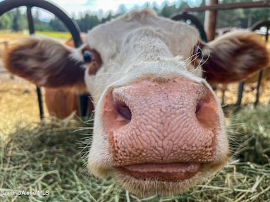 11897 W Hidden Valley Rd, Rathdrum, ID 83858 - photo 2