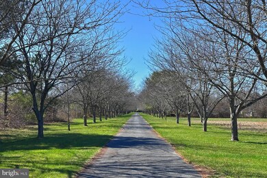 18605 Pettyjohn Rd, Georgetown, DE 19947 - photo 4