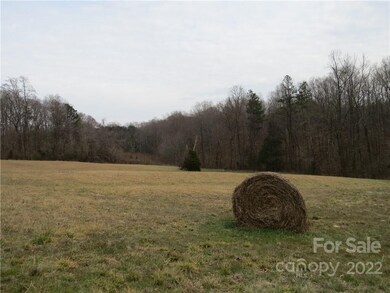 +/-26 Ac Mitchell Farm Rd, Statesville, NC 28625 - photo 6