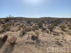 0 Werner Ave unit SR21099908, Rosamond, CA - photo 3