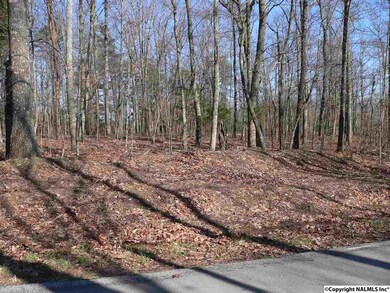 5025 Willow Dr SE, Huntsville, AL 35803 - photo 5