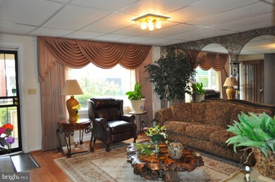 135 N Culver St, Baltimore, MD 21229 - photo 6