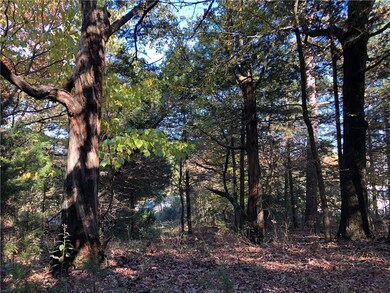 0 Sulphur City & Stokenbury Rd unit 1131158, Elkins, AR 72727 - photo 6