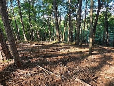 0 Roaring Forks Ln unit 420425, Ellijay, GA 30540 - photo 3