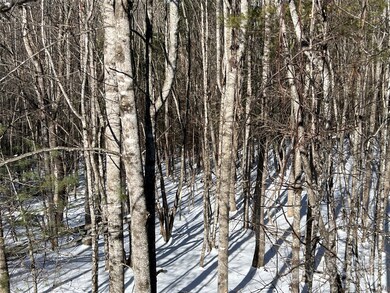 TBD (Lots 13 & 14) Timberwilde Dr, Laurel Springs, NC 28644 - photo 4