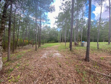 135 Cedar Ridge Rd, Lucedale, MS 39452 - photo 3