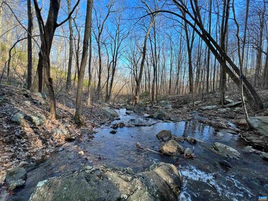 22 Pauls Creek Ct, Nellysford, VA 22958 - photo 5