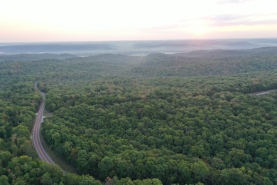 Tbd Tract 3 Highway 34, Silva, MO 63964 - photo 7