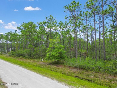 Bridges Road View