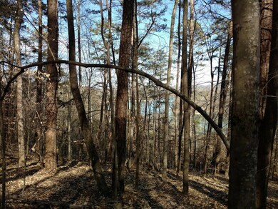 0 L- 258 Big Ridge Point unit 1013384, Sharps Chapel, TN 37866 - photo 5