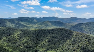 4.69 AC Rockwater Rd, Cherry Log, GA 30522 - photo 7