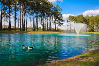 Beautiful Scenic Views in Wildwood at Northpointe!