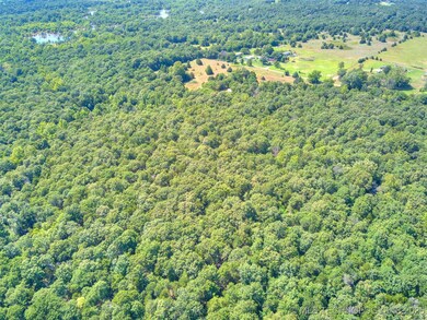 45440 W 46th St S, Jennings, OK 74038 - photo 5