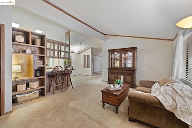 Living area with light carpet, lofted ceiling, ornamental molding, and a textured ceiling
