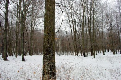 N1748 Sawdust Rd, Bruce, WI 54819 - photo 6