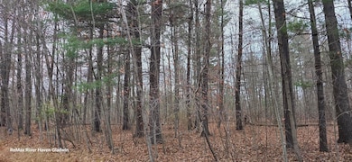 2.17 Acres N Branch Dr unit Woodview Pass VL, Beaverton, MI 48612 - photo 5