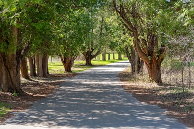 Tree Lined Entrance