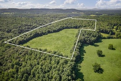 1 Creed Wright Rd, Walling, TN 38587 - photo 2