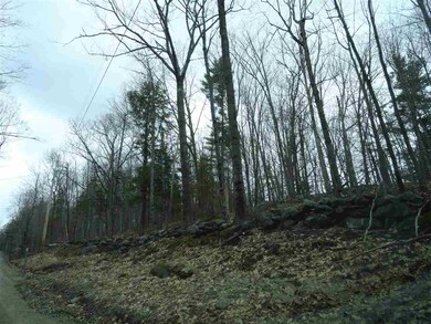 0 Lajoie Rd unit 4745549, Wilmot, NH 03287 - photo 3