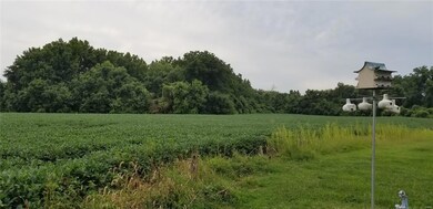 0 Main unit 18063661, Maryville, IL 62062 - photo 6