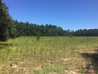 Field view 3