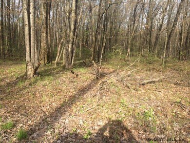 1 Feeney Ln, Guilderland, NY 12203 - photo 2